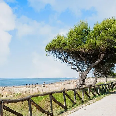 Great Flat Close To The *