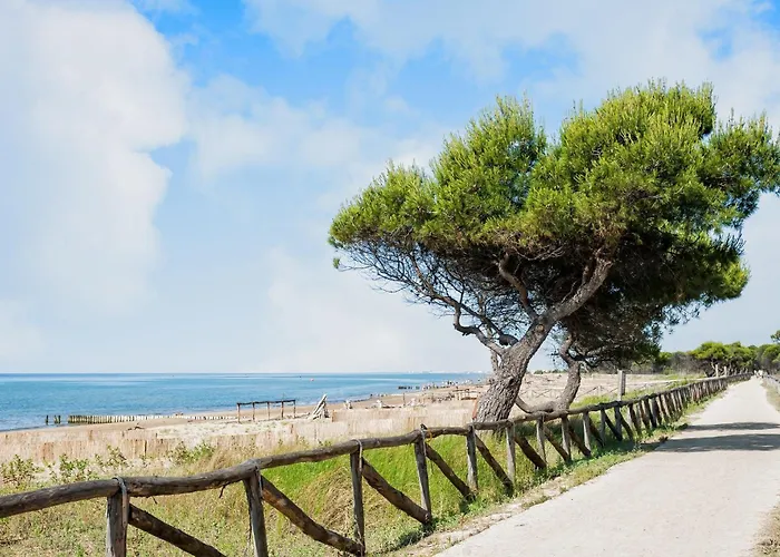 Great Flat Close To The *