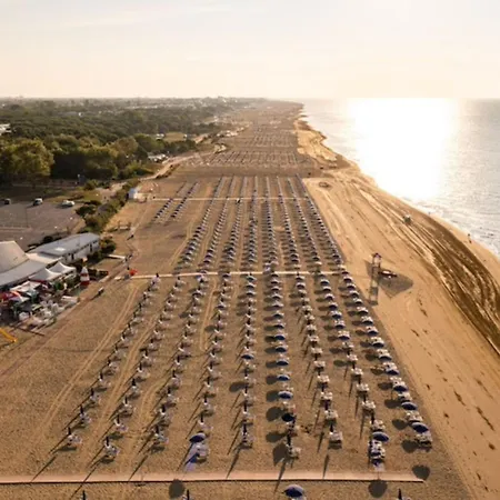 Apartment Great Flat Close To The